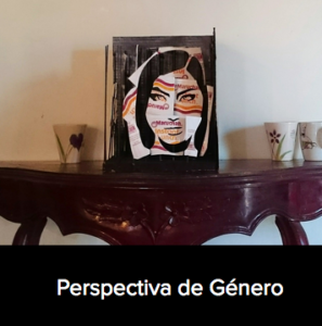 2. Aída Margarita Camarillo Domínguez – Perspectiva de género